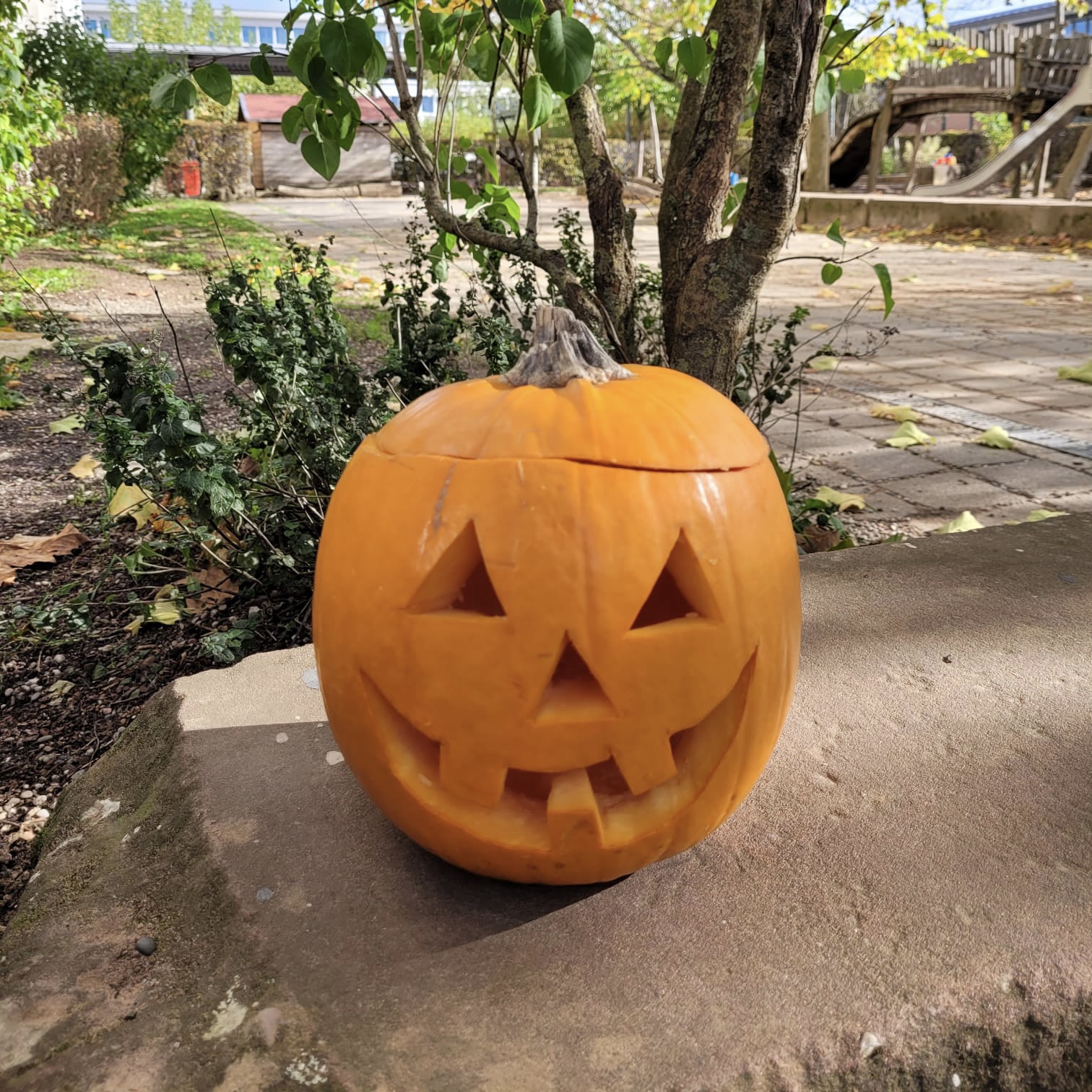 Centre aéré : Vive l&rsquo;automne, Halloween et les vacances !