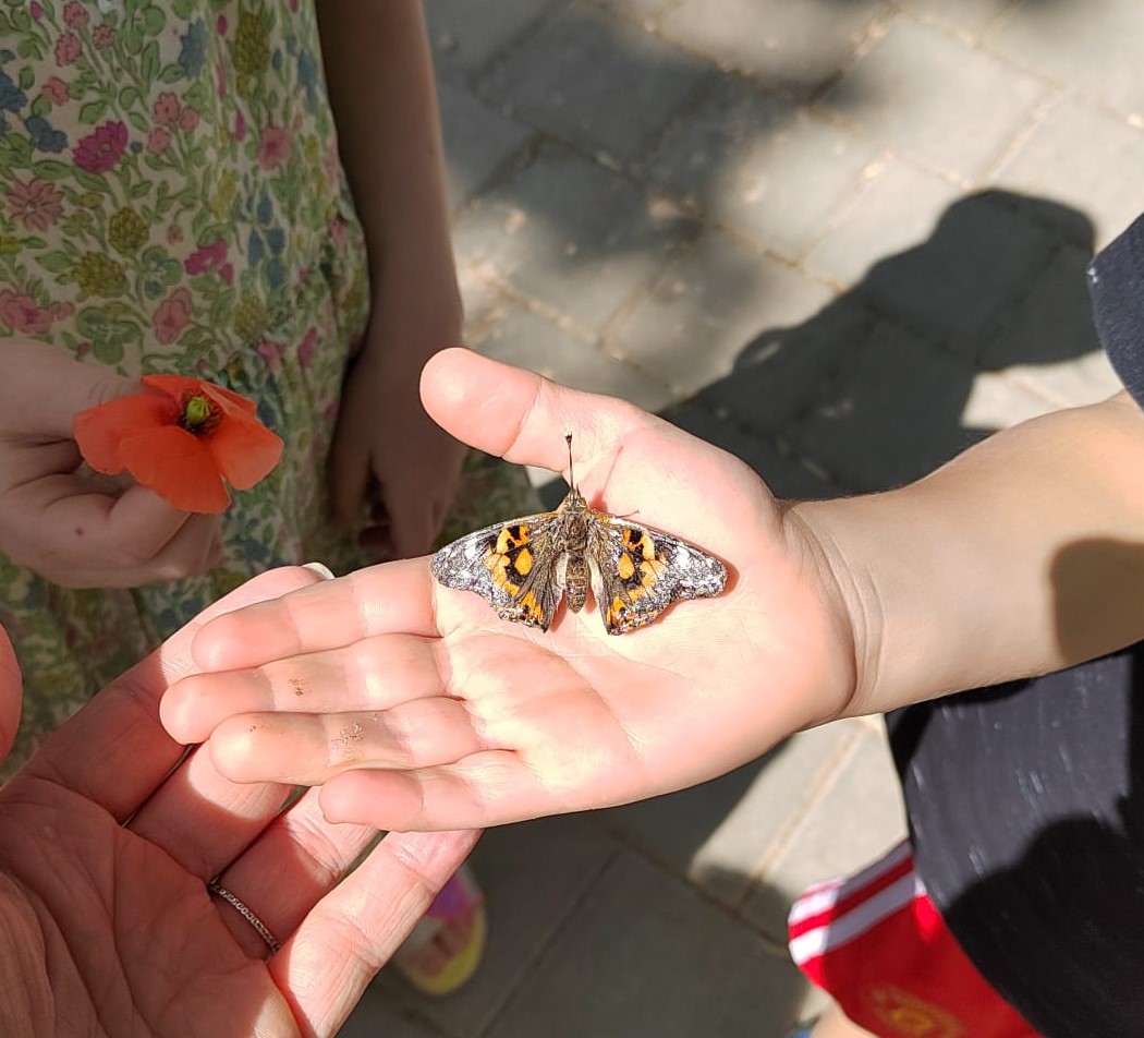 Périscolaire maternelle : Naissance d’un papillon